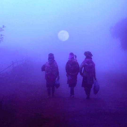 Artist on the Rise: Thao Vu Xuan